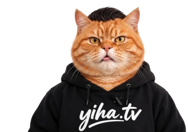 Oyen, maskot kucing oren studio Yiha TV, memakai hoodie hitam.